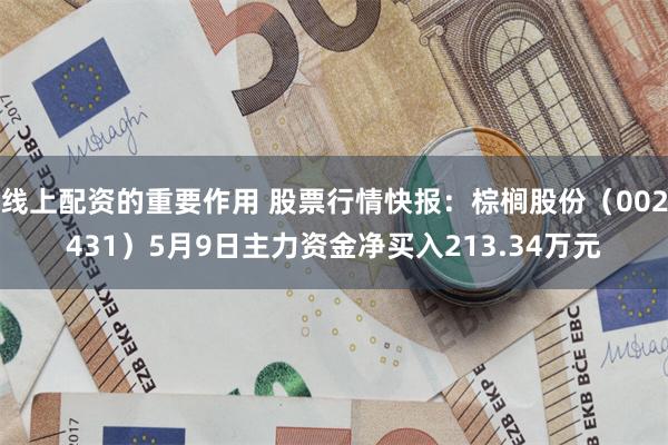 线上配资的重要作用 股票行情快报：棕榈股份（002431）5月9日主力资金净买入213.34万元