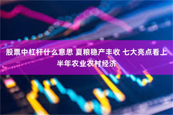 股票中杠杆什么意思 夏粮稳产丰收 七大亮点看上半年农业农村经济