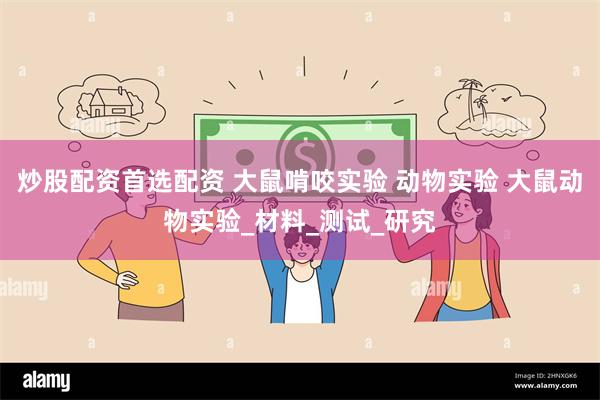炒股配资首选配资 大鼠啃咬实验 动物实验 大鼠动物实验_材料_测试_研究