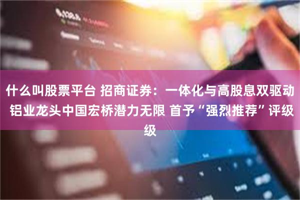 什么叫股票平台 招商证券：一体化与高股息双驱动 铝业龙头中国宏桥潜力无限 首予“强烈推荐”评级