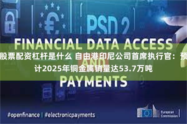 股票配资杠杆是什么 自由港印尼公司首席执行官：预计2025年铜金属销量达53.7万吨